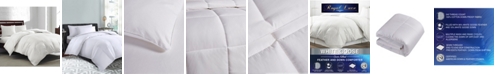 Royal Luxe White Goose Feather & Down 240-Thread Count Twin Comforter